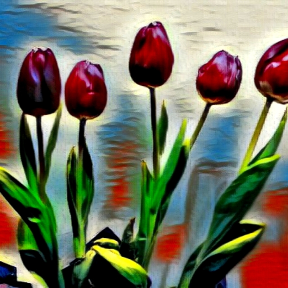 12 x 12 inch, Tulips on canvas limited print